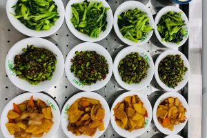 evo视讯·(中国区)官方网站